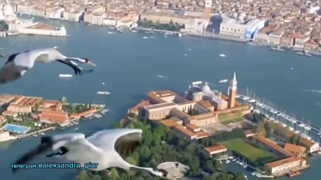 Журавли журавушки смотреть онлайн