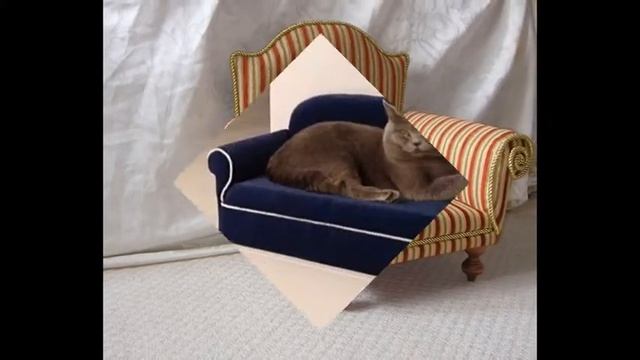 Лежанки для кошек смотреть онлайн