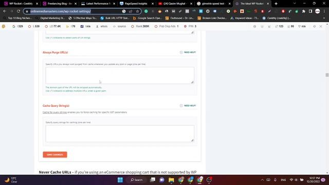 WP Rocket Best Setting 2023 For WordPress Website Speed Optimization -Speed Up WordPress -Fiverr Gi смотреть онлайн