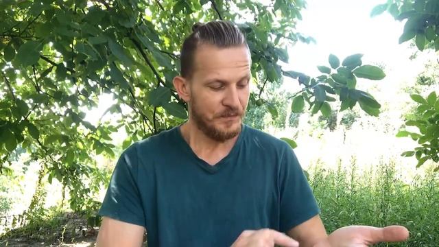 Как проверить свою мечту?