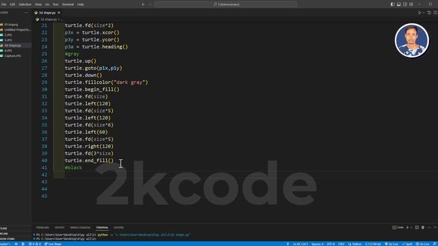 python turtle 3d shape code step by step смотреть онлайн