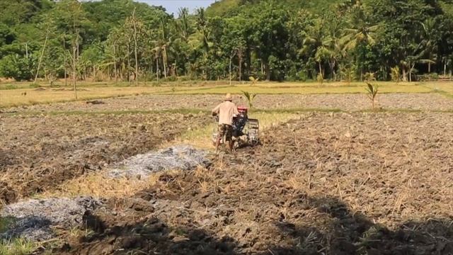 Lombok смотреть онлайн