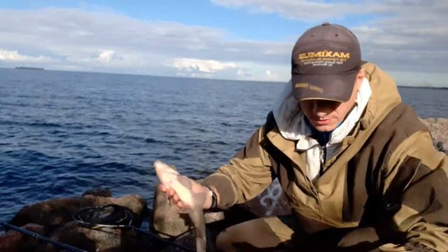 Подлещик на утопленного опарыша ??. смотреть онлайн