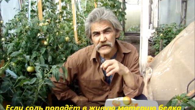 Соль как у меня получается смотреть онлайн