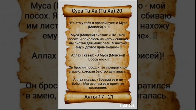 Коран о Мусе 4. #аллах #бог #господь #аят #коран #ислам #намаз #религия #вера #напоминание смотреть онлайн