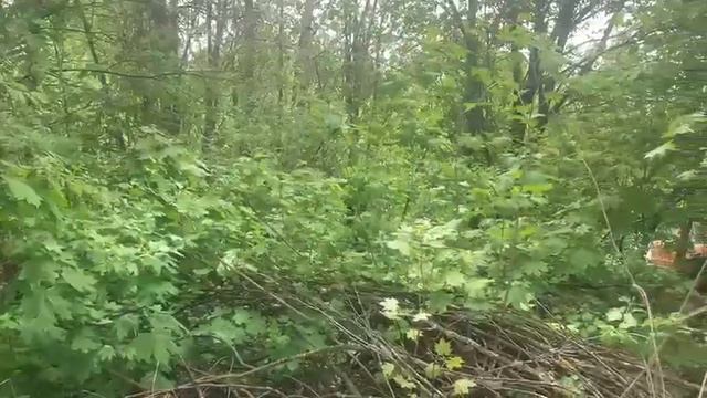 Видео 1534 смотреть онлайн