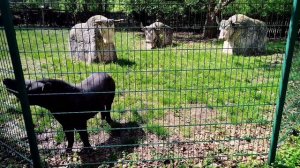 Сафари-парк (Краснодар)