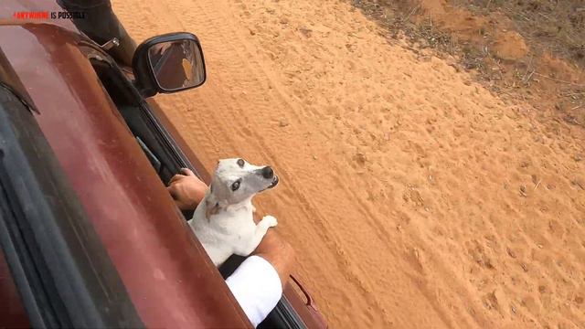 JTS2 Ep 8: Bushveld Breakaways & Breakdowns - Rooiberg and Bela Bela смотреть онлайн