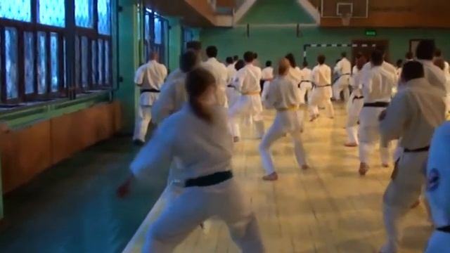 Кекусинкай каратэ. Семинар 2013.12. Москва смотреть онлайн