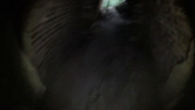 NAZI BOMB FACTORY RUINS BY THE BROS смотреть онлайн