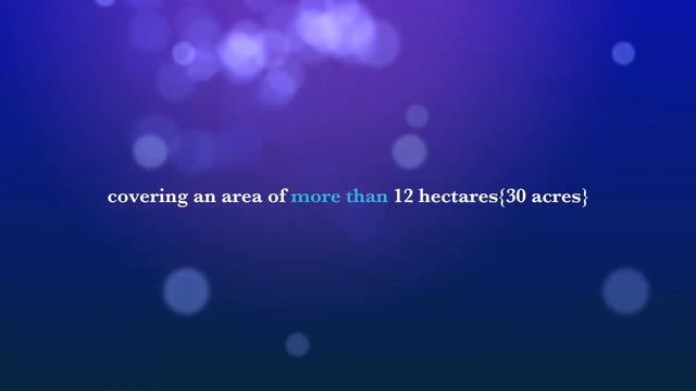 World’s most Beautifull Mosque | Biggest Mosque |Sheikh zayed Mosque,Abu Dhabi смотреть онлайн