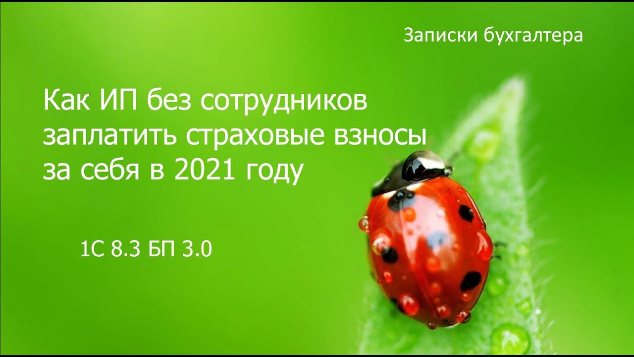 Страховые взносы ИП за себя за 2021 год