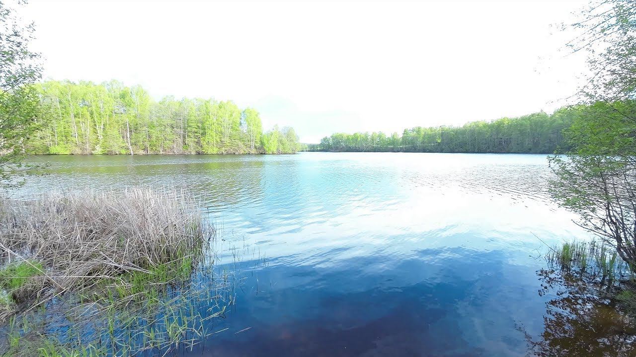 По полям по лесам. Часть 5 Поход с детьми. Замена антенны Skoda Roomster. Палаточный быт в походе смотреть онлайн