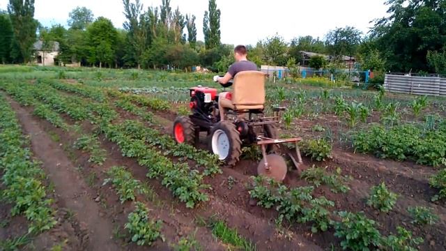 Окучивание картошки дизельным минитрактором смотреть онлайн