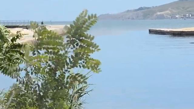 Программа Обратная связь смотреть онлайн