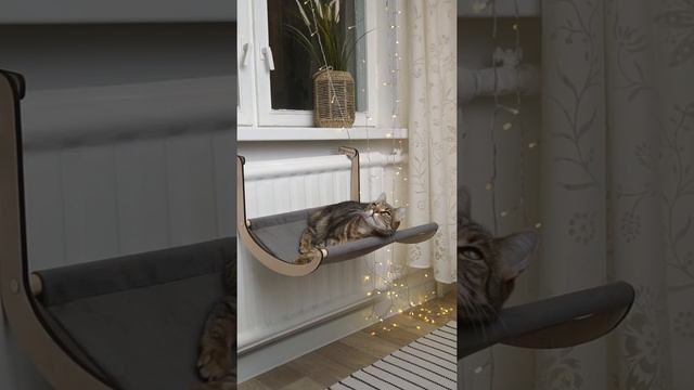 Гамак на батарею для моей любимой .. кошки от Тумяу смотреть онлайн