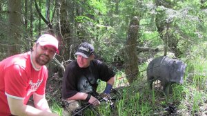 3D стрельба из лука