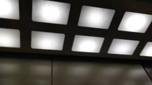 Лифт ЩЛЗ EcoMaks в плохом состоянии @ Ул. Днепропетровская, 27 кор. 1
