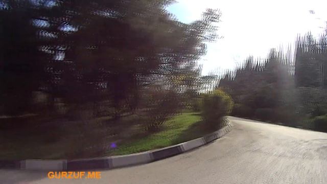 Гурзуф : Артек  : дорога вдоль лагеря :  Gurzuf : Crimea : Artek