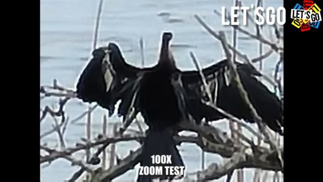 Основные фишки камер Samsung S20 Ultra смотреть онлайн