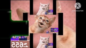 numa cat scan ytpmv