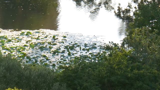 Искушения начинаются в Пост! Как спастись от Колдунов? - Варсонофий Оптинский смотреть онлайн