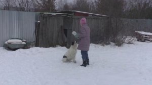 АЛБАЙКИ 3 месяца!