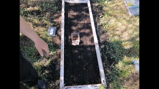 Повторная посадка семян акации смотреть онлайн