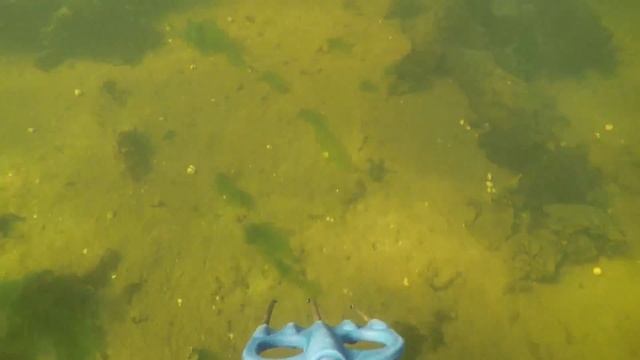 ПОДВОДНАЯ ОХОТА НА КАМБАЛУ / часть 2 / Spearfishing For Flounder / Part 2