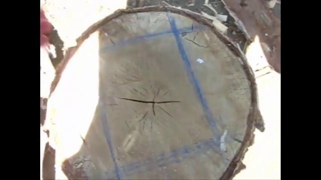 Как рубить дрова?►колуном►О_О смотреть онлайн