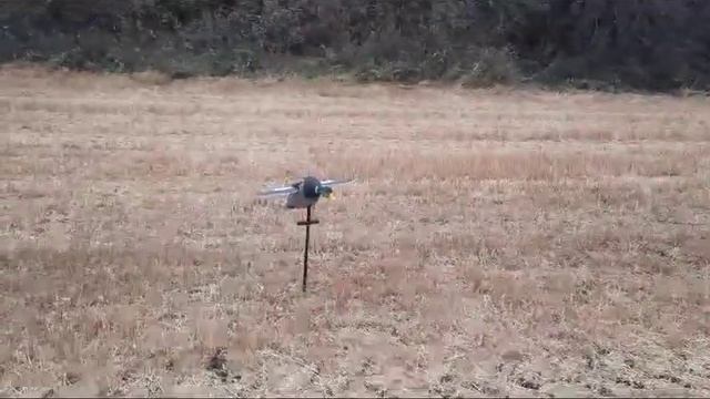 Вечерняя охота с махокрылами и чучелами #ru_kompass #охота #охота2023 #махокрыл