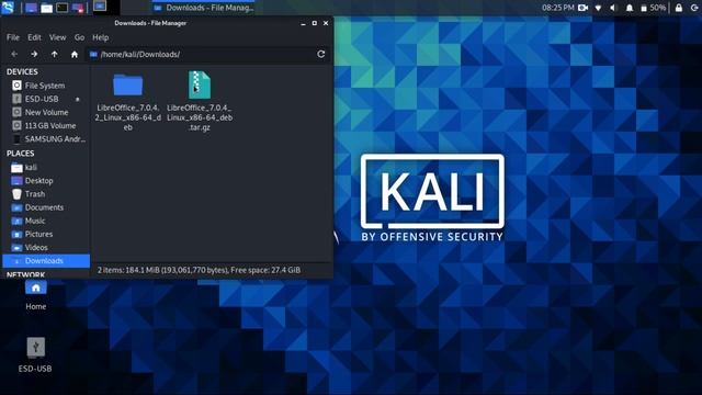 Install Microsoft Office On Kali Linux Or Any Linux смотреть онлайн