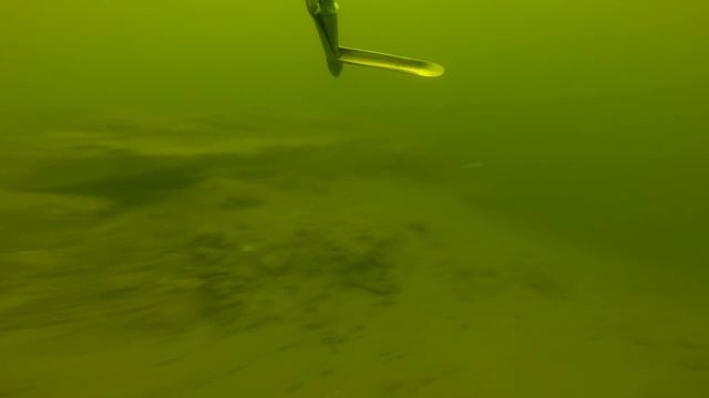 Подводная охота на толстолобика в Волгограде летом! смотреть онлайн