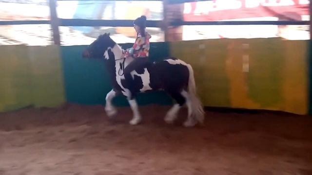 Поездка к Захару, на конюшню смотреть онлайн