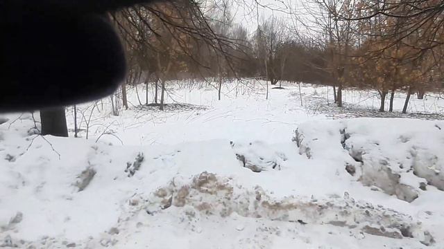 парковка на газоне в заказнике смотреть онлайн