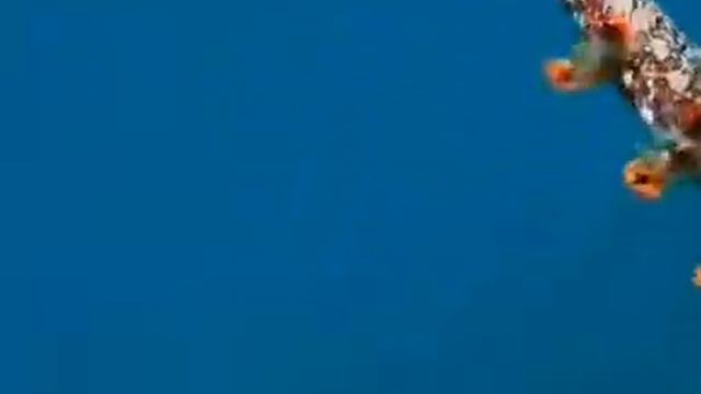 Морские драконы ! смотреть онлайн