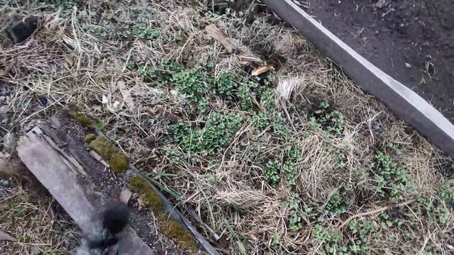 Вера, БЛАГОДАРЮ !!! Вселенная меня слышит !!! смотреть онлайн