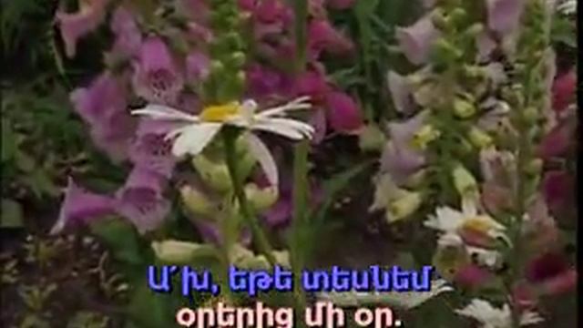 Ov Sirun Sirun