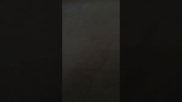 Ошибки при покупке семян подсолнечника смотреть онлайн