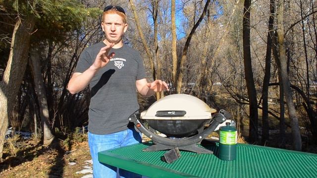 Weber Q Series BBQ Grill