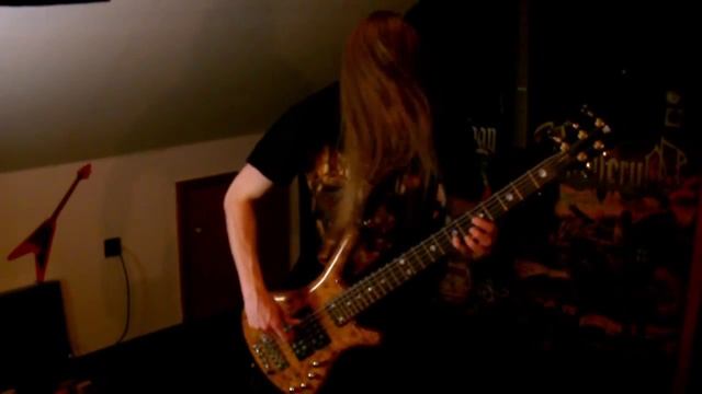 Korpiklaani - Ievan Polkka Bass Cover смотреть онлайн