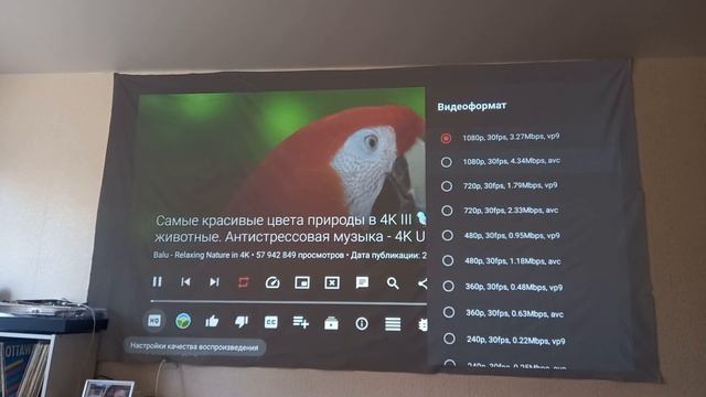 Touyinger H6 на светоотражающем экране