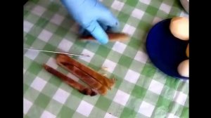 Постный борщ со спаржевой фасолью