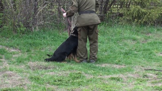 Юлдаш и Юстас 4 месяца смотреть онлайн