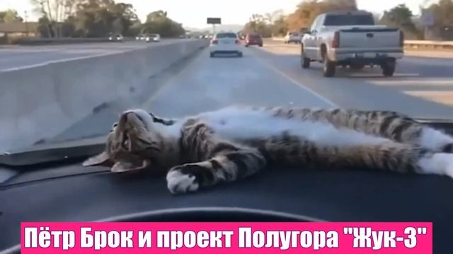 Петр Брок и Полугора песня "Жук 3" смотреть онлайн