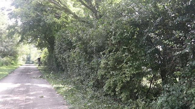 Fighting Back the Wild!! Hedge Trimming смотреть онлайн