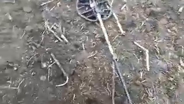 Самый короткий поиск смотреть онлайн