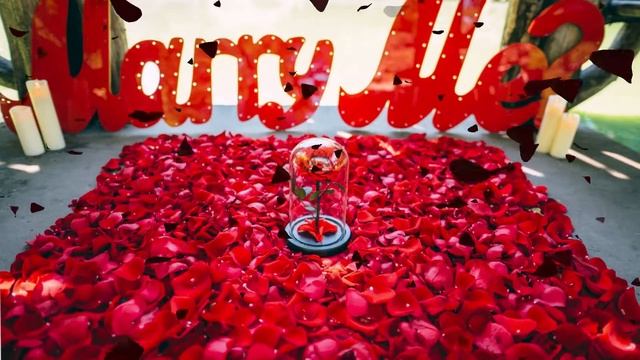 Миллион Алых Роз — Piano Cover смотреть онлайн