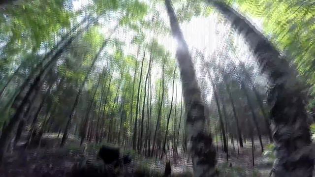 Страйкбол открытие тюмень смотреть онлайн