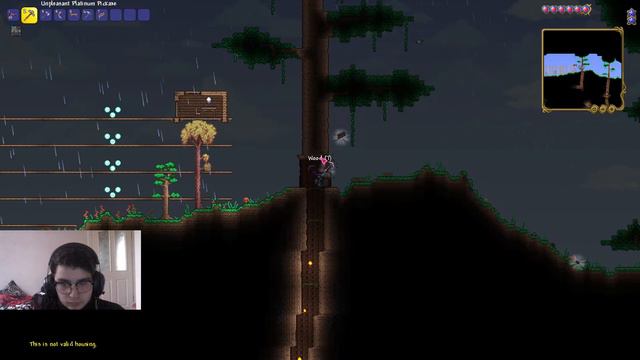 Terraria Modlu oynuyorum gel sohbet edelim смотреть онлайн